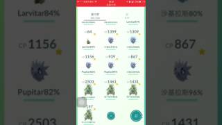 Pokémon go 第二世代進化篇 班基拉斯 #248