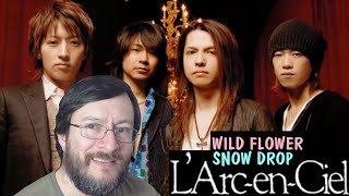 L'Arc-en-Ciel | Wild Flower / Snow Drop | REACCIÓN (reaction) **BLOQUEO DE IMAGEN**