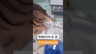 #과학 #과학실험 #초등과학 #온도와열 #초등과학실험 #science #scienceexperiment #실험 #대류