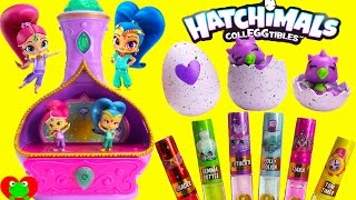 Shimmer and Shine Jewelry Box and Hatchimals CollEGGtibles