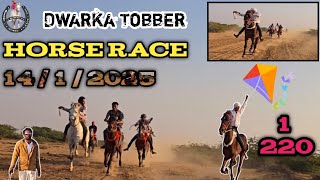 ||🌹 Dwarka horse race in tobber || 14 / 1 /2025) Gujarat ke  super hit horse in 220 vs 387 vs