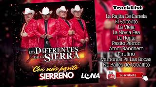 Diferentes De La Sierra / Album completo 2022 / Con Mas Pasito Sierreño