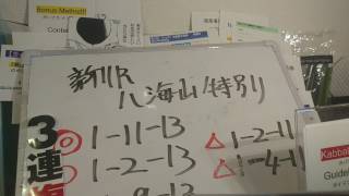 【競馬】第62回 京王杯スプリングC［GII］＆東京9R『夏木立賞』＆10R『緑風S』＆京都9R『蹴上特別』＆京都11R『都大路S』＆新潟11R『八海山特別』《予想動画》～後半約10分は雑談～