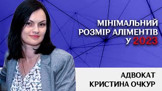 Мінімальний розмір аліментів 2023 /Кристина Очкур/