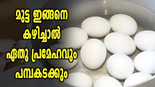 മുട്ട ഇങ്ങനെ കഴിച്ചാൽ ഏതു പ്രേമഹവും പമ്പകടക്കും  | Oneindia Malayalam