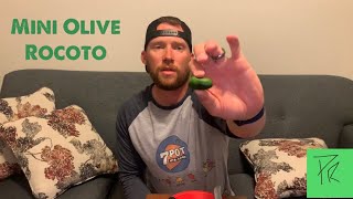 Mini Olive Rocoto Pepper Review