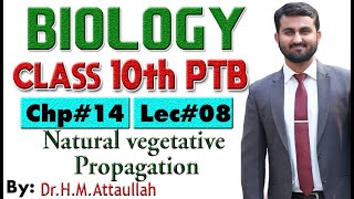 Natural vegetative propagation | Asexual Reproduction  | Chapter # 14 | Biology Class 10th | Lec#08