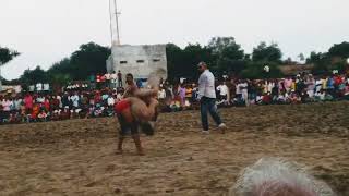 रेवाड़ी बुज़ुर्ग के ऐतिहासिक दंगल में थापा पहलवान सहित उत्तरप्रदेश, राजस्थान के पहलवानों ने प्रतिभाग 🙏