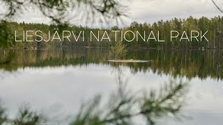 Hiking in Liesjärvi National Park in Finland - Liesjärven Kansallispuisto