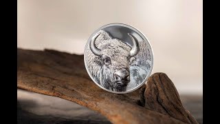 2025 Mongolia 1 Ounce Bison Colored Ultra High Relief Silver Proof Coin