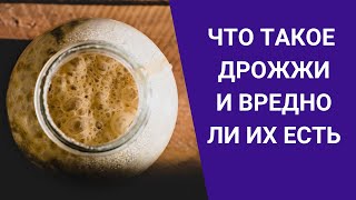 ЧТО ТАКОЕ ДРОЖЖИ И ВРЕДНО ЛИ ИХ ЕСТЬ