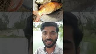 குறிப்பு🙌,கெண்டை மீன் வளர்ப்பு | Iyarkai pannai shorts | #shorts #tamil #fish #viralshorts #viral