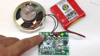 Voice Record Playback Module