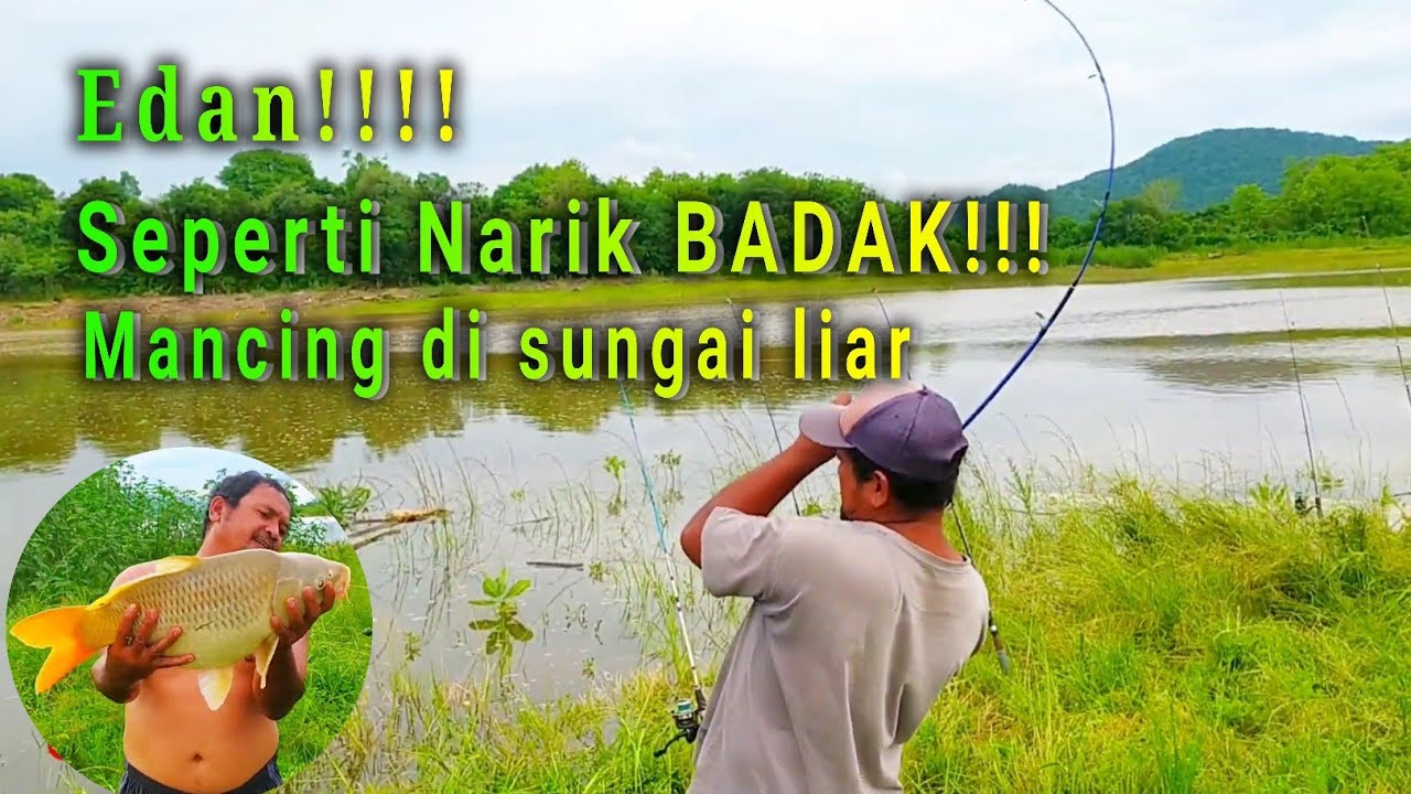 Memancing Ikan Di Sungai || Dapat Ikan Besar!!! Mancing Ikan Mas - YouTube