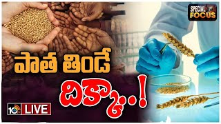 LIVE : ప్రపంచం ఆకలి తీర్చే శక్తి గోధుమలకు ఉందా? | Scientists On Wheat Seeds | Special Focus | 10TV