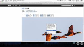 Flickr url