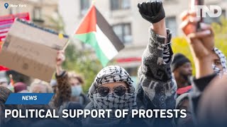 Pro-Palestinian protesters on college campuses have plenty of political support