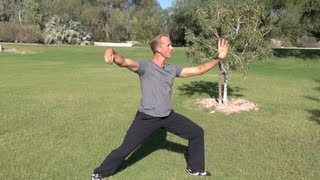 American, Born in Canada, Does Chinese Chen Tai Chi