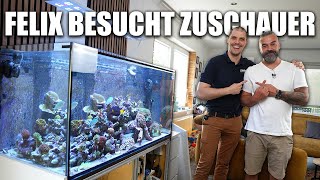 FELIX TUNZE besucht Nenad und sein MEERWASSERAQUARIUM