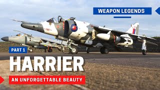 Harrier (First Generation) | An unforgettable British beauty