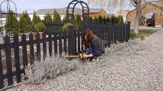 Cutting Back Lavender! 💜🌿// Garden Answer
