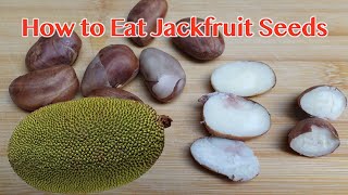 How to Eat Jackfruit Seeds 菠萝蜜籽怎么吃 Easy Jackfruit Recipe