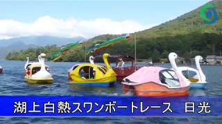 湖上白熱スワンボートレース　日光