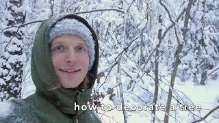 Snow Falling off a Tree Backwards