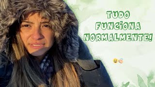 VLOG NO FRIO DE -22 EM MONTRÉAL! FIZ UM PASSEIO PELAS RUAS E MOSTREI CURIOSIDADES