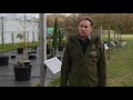 Why go peat free? | Royal Horticultural Society