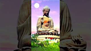 ये बातें आपको कभी गिरने नही देगी | buddha status #buddha #shorts