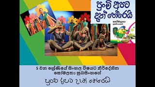 පුංචි අපට දැන් තේරෙයි - වේදිකා නාට්‍ය (punchi apata dan thereyi  - stage drama)