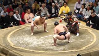 Tamawashi (4-7) - Sekiwake Myogiryu (4-7) , Sumo : Natsubasho '15