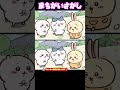 まちがいさがし🐼3こちがうよ😊わかったら👍🏻おしてね😉 ちいかわ まちがいさがし クイズ find the difference anime 毎日投稿