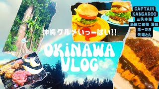 【冬の沖縄旅行VLOG＃5】名護で美味しいもの巡り【CAPTAIN KANGAROO、島豚七輪焼 満味、ホテル日航アリビラ、備瀬のフクギ並木、おんなの駅なかゆくい市場、道の駅許田】