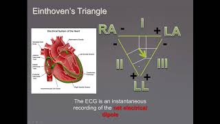 Lab 2 Pre Lab Video -Electrocardiography (ECG)