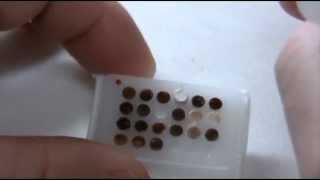 Radical Tissue Microarray Vol. 5