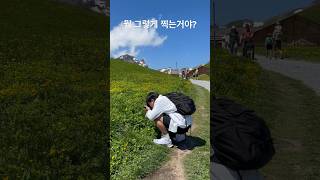 뭘 그렇게 찍는거야? #곤충