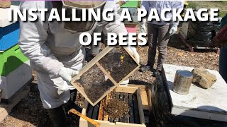 Installing a package of bees