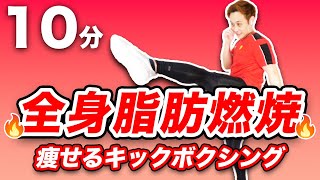 【滝汗10分】全身脂肪燃焼の痩せるキックボクシング【自宅OK！有酸素運動】