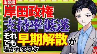 【ヤケクソ解散！？】岸田政権の支持率が内閣改造後も低迷しているのに、永田町で早期解散が消えない理由【記者VTuber】