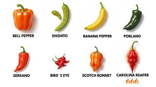 Every Pepper Explained (From 0 to 2.6 Million Scoville)