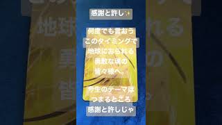 龍神様からあなたへ #スピリチュアルメッセージ #龍 #龍神 #チャネリングメッセージ #今日のメッセージ #カードリーディング