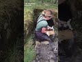 Sheep Farmer Crawls Into Water Pipe to Rescue Trapped Lambs