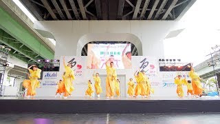 [4K] 合同連 光　泉州YOSAKOI ゑぇじゃないか祭り 2019