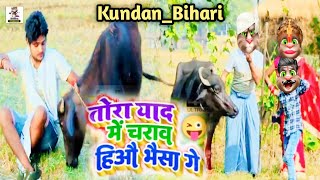 तोरा याद में चराव हिऔ भैसा गे Kundan Bihari new song funny video khorta comedy billi bhojiwood