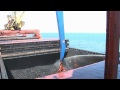 sennebogen port handling 880 eq material handler handling coal in samsun port turkey