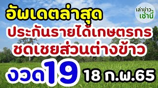 อัพเดตล่าสุด ประกันรายได้เกษตรกร ชดเชยส่วนต่างข้าว งวดที่ 19 เคาะแล้ว!!