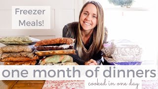 One Month of Dinners for Large Family of 7 | Batch Cook with Me