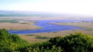 北海道の旅行で釧路湿原のタンチョウをみよう!!